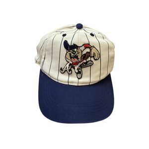 Atlanta Braves Taz Looney Tunes Pinstripe Hat Kids  MLB 1996 Youth